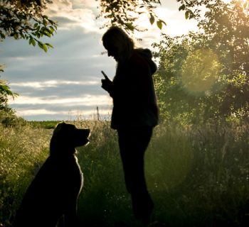 Sachkundenachweis für Hundebesitzer in Essen